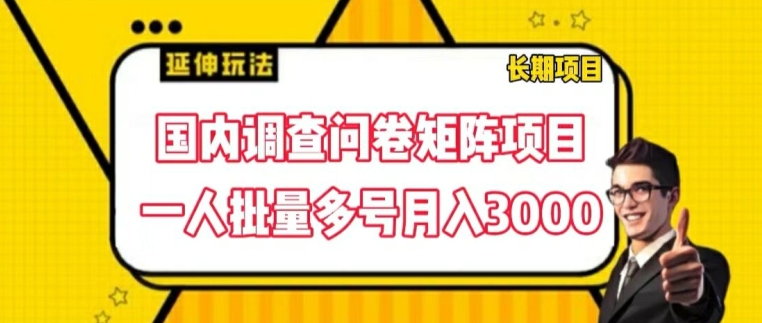 国内调查问卷矩阵项目，一人批量多号月入3000-王总副业网