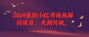 2024最新小红书违规解封项目,长期可做,一个可以做到退休的项目-王总副业网