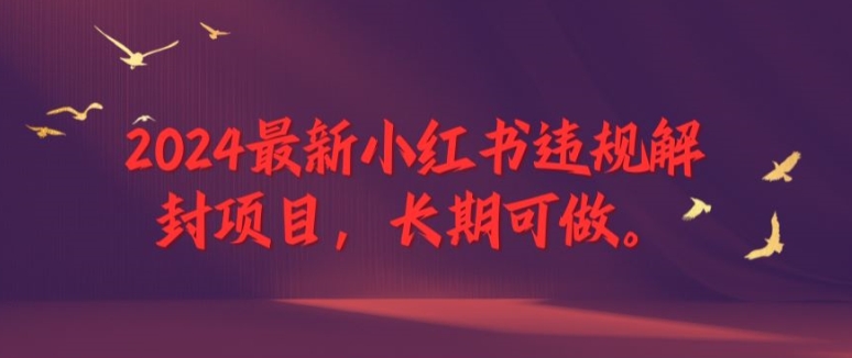 2024最新小红书违规解封项目，长期可做，一个可以做到退休的项目-王总副业网