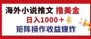 最新海外小说推文撸美金,日入1000+ 蓝海市场,矩阵放大收益爆炸-王总副业网