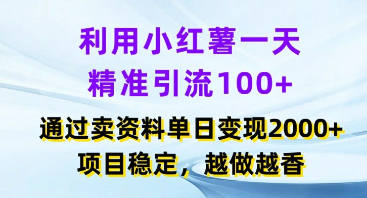 利用小红书一天精准引流100+，通过卖项目单日变现2k+，项目稳定，越做越香-王总副业网