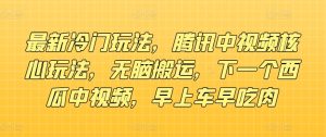 最新冷门玩法,腾讯中视频核心玩法,无脑搬运,下一个西瓜中视频,早上车早吃肉-王总副业网