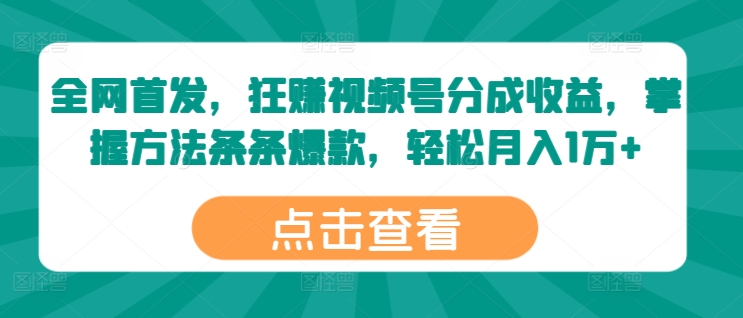 全网首发，狂赚视频号分成收益，掌握方法条条爆款，轻松月入1万+-王总副业网