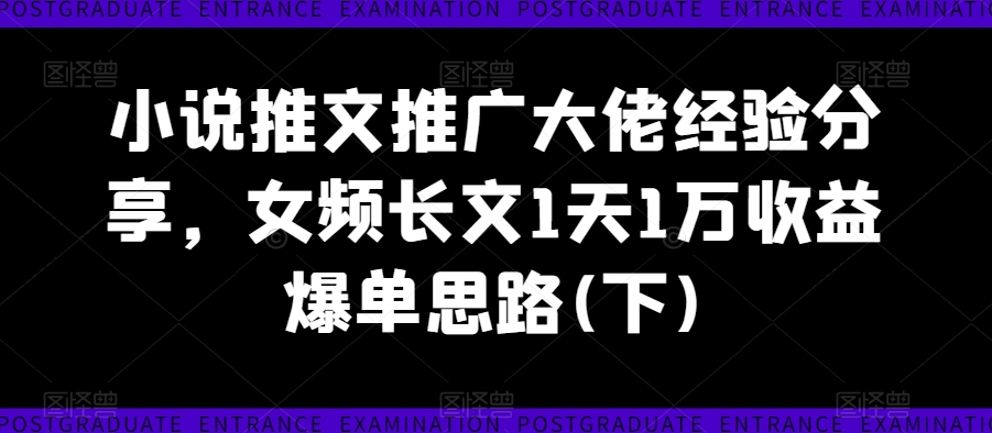 小说推文推广大佬经验分享，女频长文1天1万收益爆单思路(下)-王总副业网