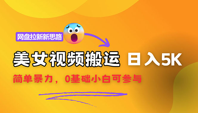 【新思路】视频搬运+网盘拉新，靠搬运每日5000+简单暴力，0基础小白可参与-王总副业网