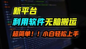 B站平台用软件无脑搬运,月赚10000+,小白也能轻松上手-王总副业网