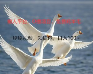 0撸懒人平台,全新手机广告不推广单机有100+,刷刷就有跟捡钱一样, 简单无脑稳定可批量-王总副业网