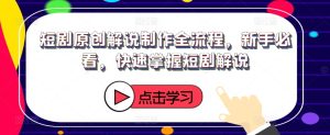 短剧原创解说制作全流程,新手必看,快速掌握短剧解说-王总副业网
