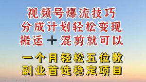 视频号分成最暴力赛道,几分钟出一条原创,最强搬运+混剪新方法,谁做谁爆-王总副业网