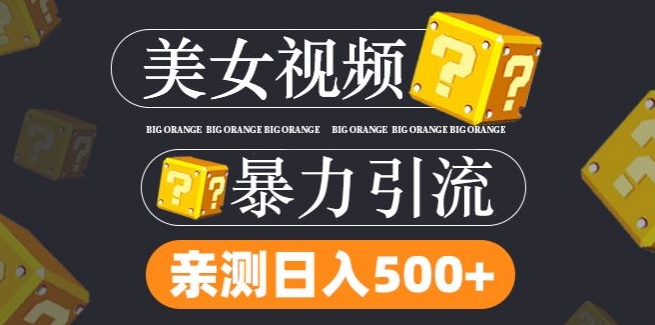 搬运tk美女视频全网分发，日引s粉300+，轻松变现，不限流量不封号-王总副业网