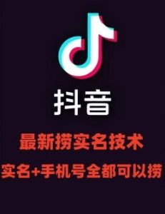 最新技术抖音捞实名+捞手机号技术,抖音直播封禁释放十名/手机号,直接替换出来!-王总副业网