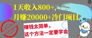 1天收入8张,月赚2w+冷门项目,赚钱太简单,这个方法一定要学会-王总副业网