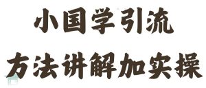 国学引流方法实操教学,日加50个精准粉-王总副业网