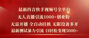 最新抖音快手视频号全平台无人直播引流1000+精准创业粉,日轻松变现5k+-王总副业网
