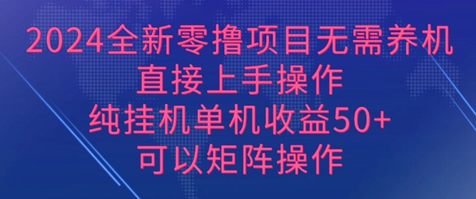 2024全新零撸项目，无需养机，直接上手操作 纯挂JI，单机收益50+，可以矩阵操作-王总副业网