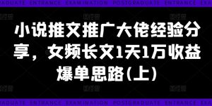 小说推文推广大佬经验分享,女频长文1天1万收益爆单思路(上)-王总副业网