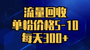 流量回收,单粉价格5-10,每天300+,轻松月入五位数-王总副业网