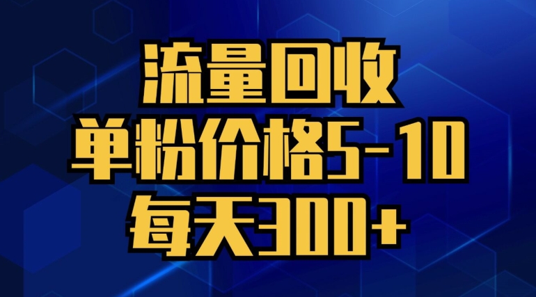 流量回收，单粉价格5-10，每天300+，轻松月入五位数-王总副业网