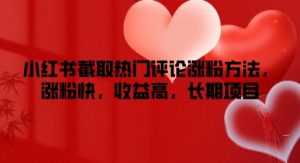 小红书截取热门评论涨粉方法,涨粉快,收益高,长期项目-王总副业网