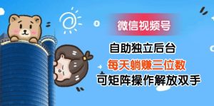 微信视频号自助独立后台,每天躺赚三位数,可矩阵操作,解放双手-王总副业网