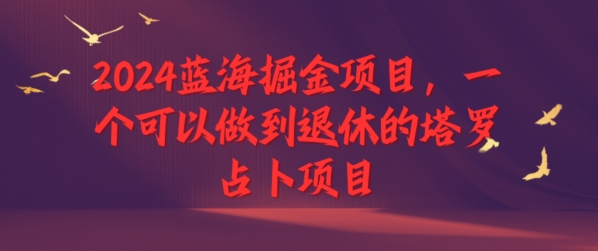 2024蓝海掘金项目，一个可以做到退休的塔罗占卜项目-王总副业网