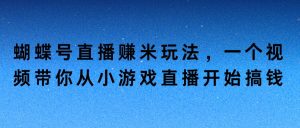 蝴蝶号直播赚米玩法,一个视频带你从小游戏直播开始搞钱-王总副业网
