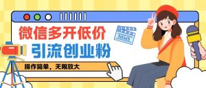 闲鱼卖低价微信多开加引流创业粉玩法,操作简单,无限放大-王总副业网