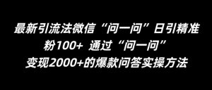 最新引流法微信“问一问”日引精准粉100+  通过“问一问”变现2000+的爆款问答实操方法-王总副业网