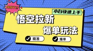 悟空拉新爆单玩法,精准引流,小白分分钟上手-王总副业网