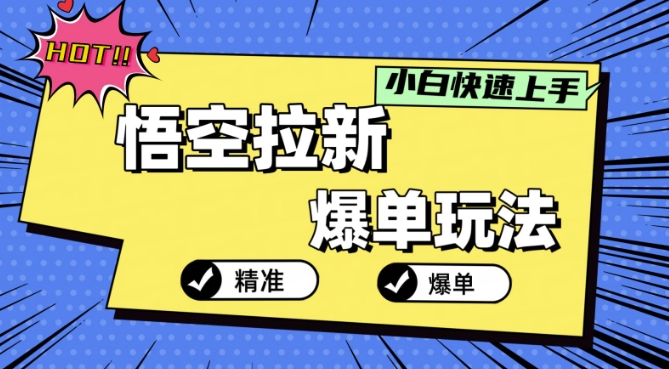 悟空拉新爆单玩法，精准引流，小白分分钟上手-王总副业网