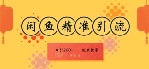 闲鱼精准引流日入200+(新玩法),技术教学,操作简单-王总副业网