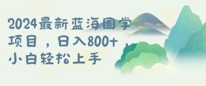 国学项目,长期蓝海可矩阵,从0-1的过程-王总副业网