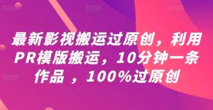 最新影视搬运过原创,利用PR模版搬运,10分钟一条作品 ,100%过原创【教程+PR模板】-王总副业网