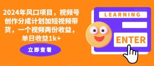 2024年风口项目,视频号创作分成计划加短视频带货,一个视频两份收益,单日收益1k+-王总副业网