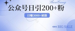 2024年用AI洗稿公众号,日引流200+创业粉-王总副业网
