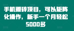 手机搬砖项目,可以矩阵化操作,新手一个月轻松5000多-王总副业网