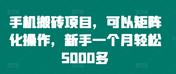 手机搬砖项目，可以矩阵化操作，新手一个月轻松5000多-王总副业网