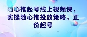 随心推起号线上视频课,实操随心推投放策略,正价起号-王总副业网