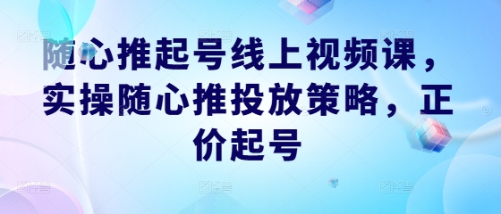 随心推起号线上视频课，实操随心推投放策略，正价起号-王总副业网