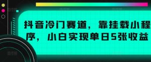 抖音冷门赛道,靠挂载小程序,小白实现单日5张收益-王总副业网