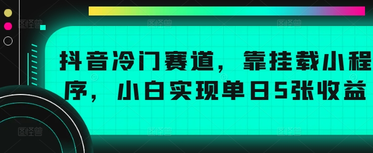 抖音冷门赛道，靠挂载小程序，小白实现单日5张收益-王总副业网