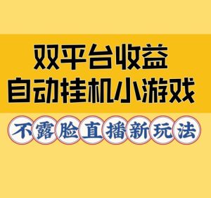 双平台收益自动挂机小游戏,不露脸直播新玩法-王总副业网