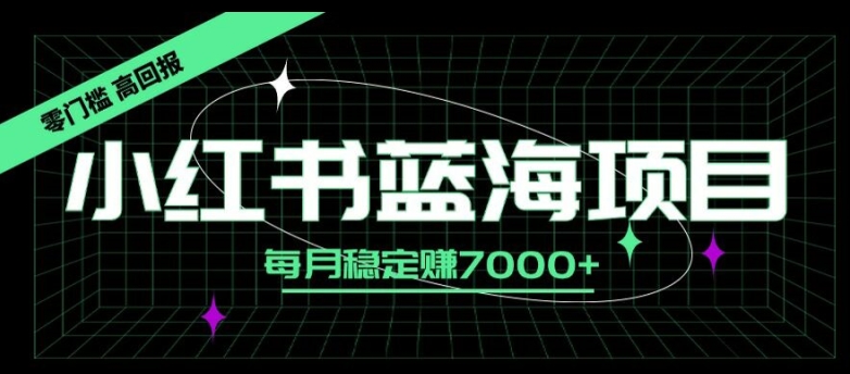 小红书蓝海项目，零门槛、高回报，每月稳定赚7000+-王总副业网