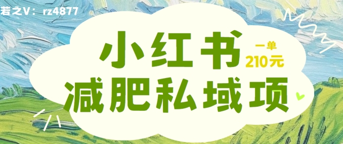 小红书减肥粉，私域变现项目，一单就达210元，小白也能轻松上手-王总副业网