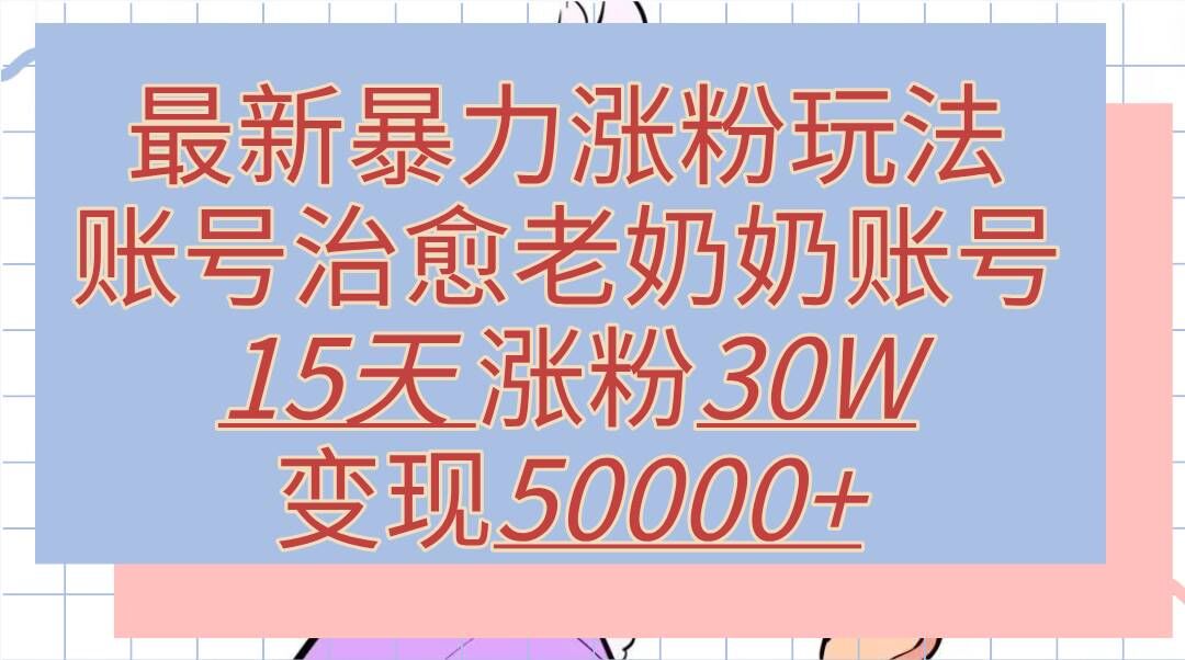 最新暴力涨粉玩法，治愈老奶奶账号，15天涨粉30W，变现至少五位数+-王总副业网