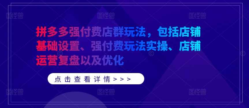 拼多多强付费店群玩法，包括店铺基础设置、强付费玩法实操、店铺运营复盘以及优化-王总副业网