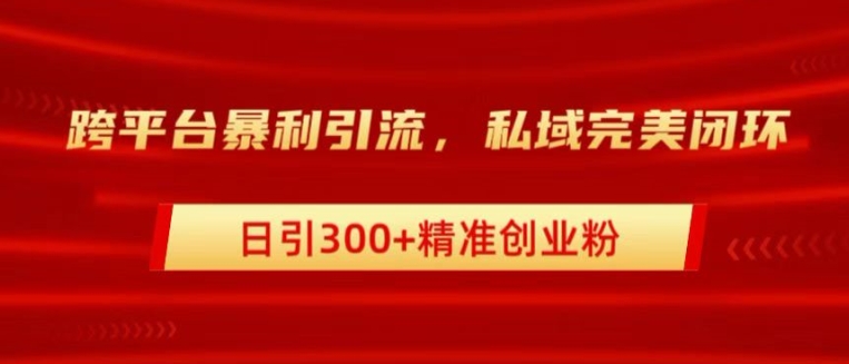 跨平台暴力引流，私域完美闭环，日引100+精准创业粉-王总副业网