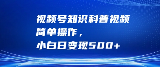 视频号知识科普视频，简单操作，小白日变现500+-王总副业网