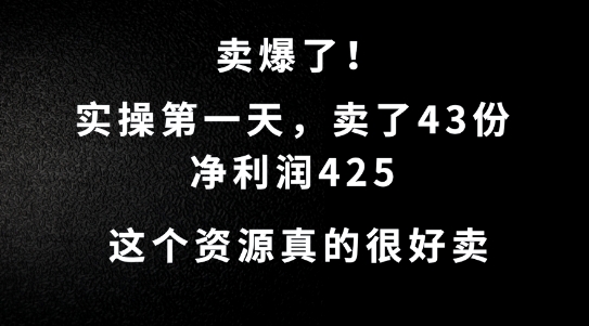 这个资源需求很大，实操第一天卖了43份，净利润425-王总副业网