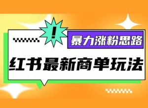 小红书最新商单玩法,暴力涨粉思路,三分钟搞定一条视频,不判搬运,适合小白-王总副业网